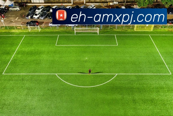 新葡京娱乐平台生态图