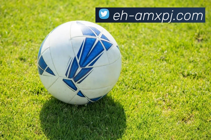 新葡京娱乐APP 封面图